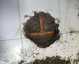 新巴尔虎左查漏水多少钱