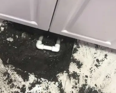 新巴尔虎左查漏水哪家好